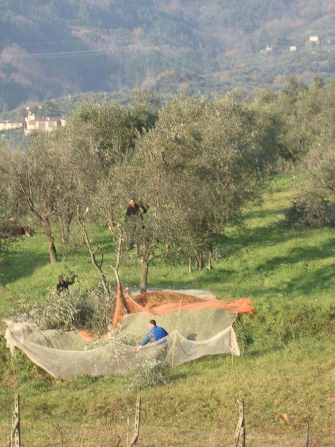 Casale Camaiore Villa Capannori Luaran gambar