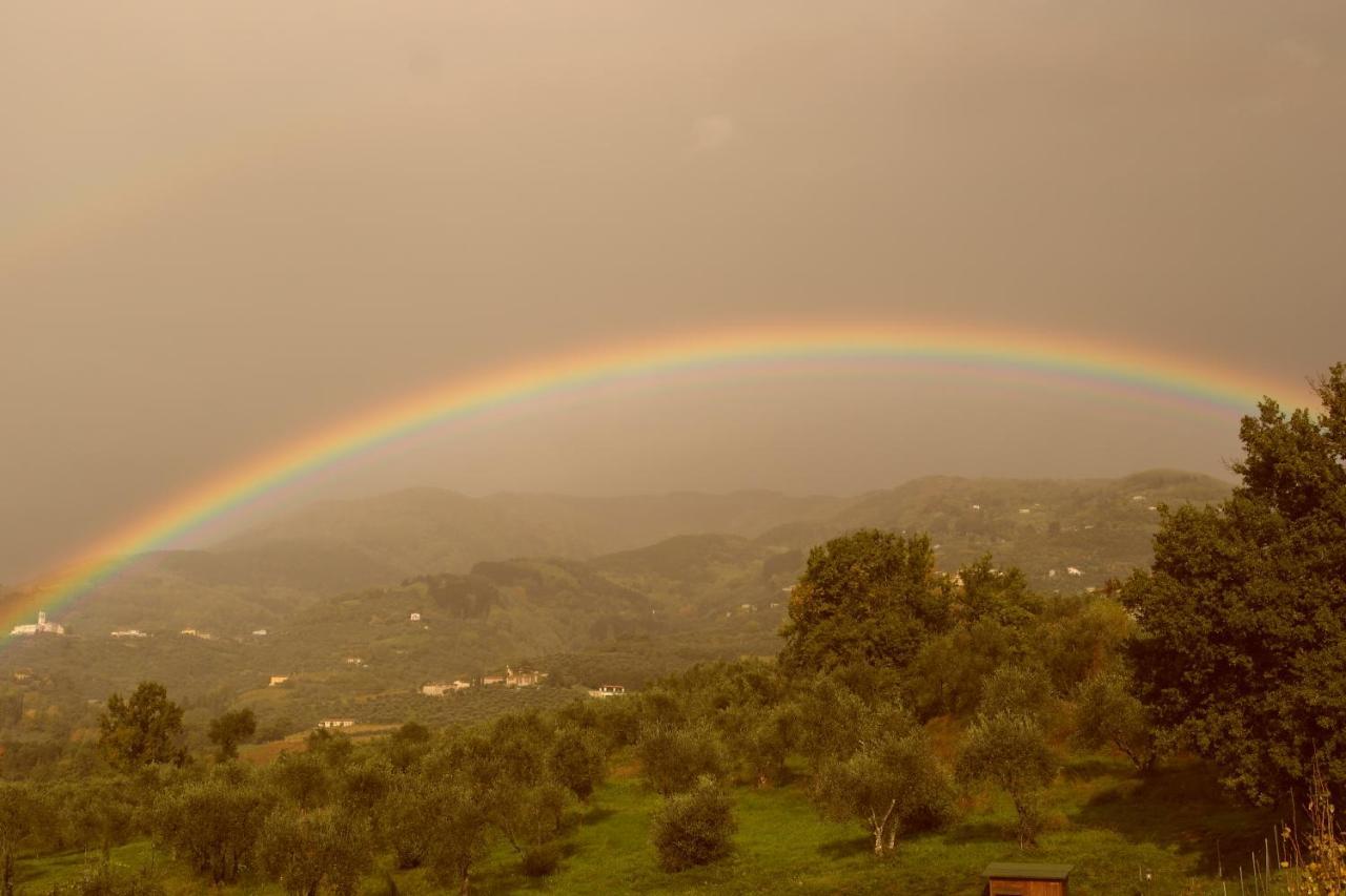 Casale Camaiore Villa Capannori Luaran gambar